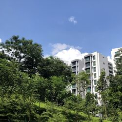 FORETT AT BUKIT TIMAH (D21), Apartment #567966181